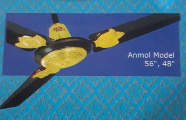 Anmol Model