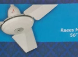 Raees Model